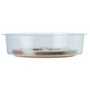 Miracle-Gro Miracle-Gro 1.5 in. H X 14 in. D Cork/Plastic Hybrid Plant Saucer Clear SMGCKV14